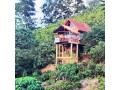 relax-and-recharge-at-dins-nature-villa-elgiriya-small-1