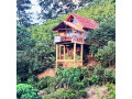 relax-and-recharge-at-dins-nature-villa-elgiriya-small-2