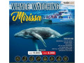 whale-watching-in-mirissa-special-offer-small-0