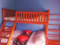 sevenhills-eco-lodge-affordable-bliss-in-maskeliya-small-2