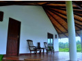 enjoy-in-jungle-heart-cabanas-aluthgama-small-4