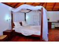 enjoy-in-jungle-heart-cabanas-aluthgama-small-0