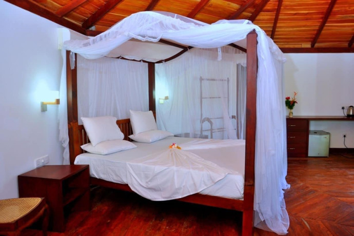 enjoy-in-jungle-heart-cabanas-aluthgama-big-0