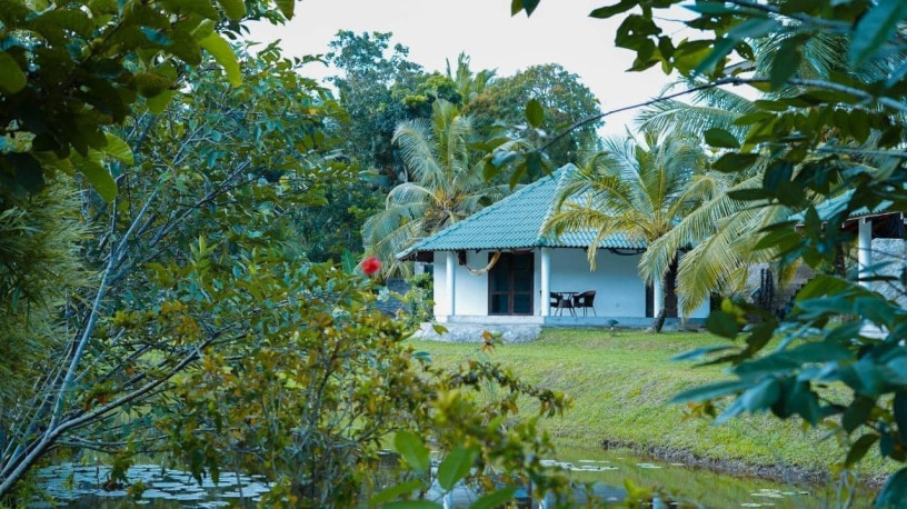 enjoy-in-jungle-heart-cabanas-aluthgama-big-2