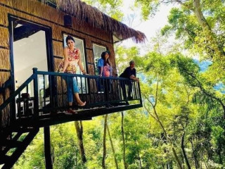 Tree Nature Resort Badulla – Unique Stays in Harmony with Nature