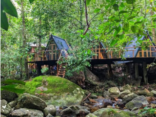 Sudagala Jungle Glamping – A Unique Escape into Nature