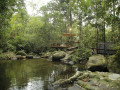 escape-into-nature-at-sudagala-jungle-glamping-small-0