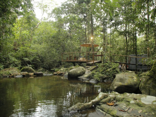 🌿 Escape into nature at Sudagala Jungle Glamping🏕️✨