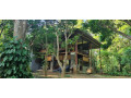 enjoy-in-jungle-house-udawalawe-small-3