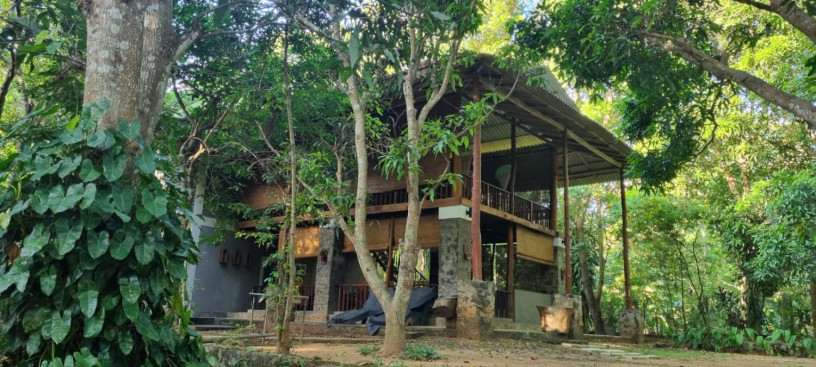 enjoy-in-jungle-house-udawalawe-big-3