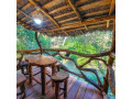 enjoy-in-sayon-river-cottage-and-eco-garden-wellawaya-small-2