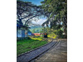 enjoy-in-diyasisila-holiday-home-haliela-badulla-small-2