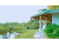 enjoy-in-aluthgama-cabana-small-4