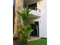 enjoy-in-walahanduwa-beauty-villa-small-3