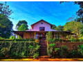 enjoy-in-eddies-bungalow-small-4