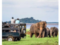 jeep-safari-habarana-in-dambulla-small-0