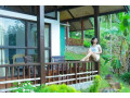 rainforest-mount-lodge-in-deniyaya-small-2