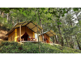 Eco Wild Glamping Bambarakanda