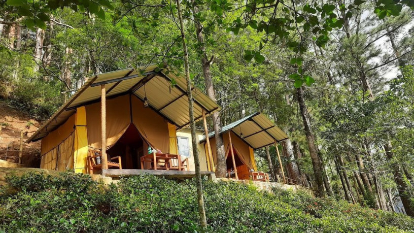 eco-wild-glamping-bambarakanda-big-0