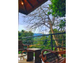 mefree-kandy-villa-in-kandy-small-4