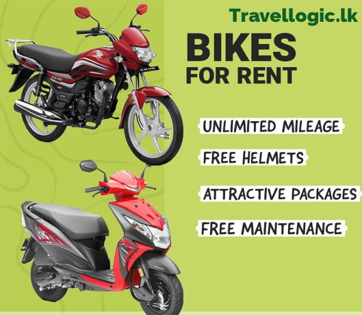 bike-rental-and-camping-gear-provider-boralesgamuwa-big-1