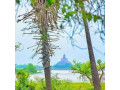 lake-palmyra-resort-in-anuradhapura-small-4