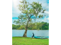 mahiyangana-sorabora-lake-camping-sorabora-small-4