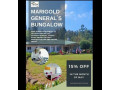 marigold-generals-bungalow-nuwaraeliya-small-3