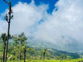 marigold-generals-bungalow-nuwaraeliya-small-1