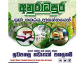 sri-lak-holiday-resort-anuradhapuram-small-0