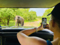 udawalawa-national-park-adventure-safari-from-prasanna-safari-small-2