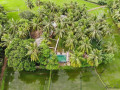 rice-villas-in-tissamaharama-small-0