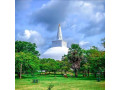 family-holiday-resort-anuradhapura-small-3