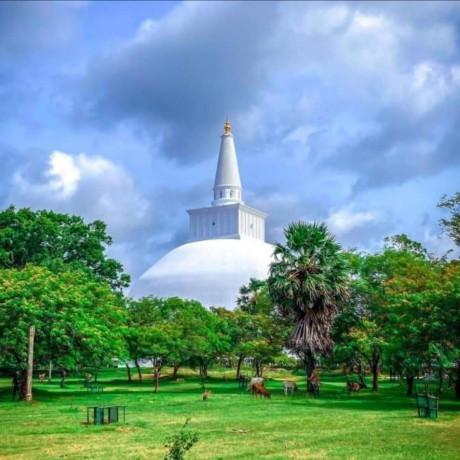 family-holiday-resort-anuradhapura-big-3