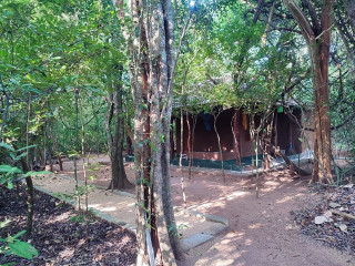 Relaxing forest in the forest of Atambagaskada village in Medavachchi