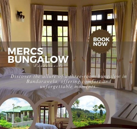 mercs-bungalow-big-0