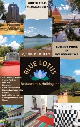 blue-lotus-restaurant-big-0