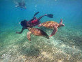 sea-adventure-and-snorkeling-with-turtle-in-mirissa-sri-lanka-small-4