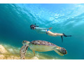 sea-adventure-and-snorkeling-with-turtle-in-mirissa-sri-lanka-small-0