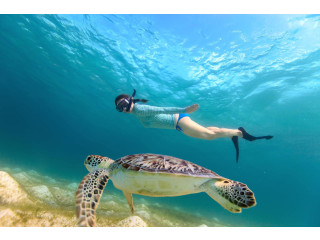 Sea Adventure and Snorkeling with Turtle in Mirissa Sri Lanka