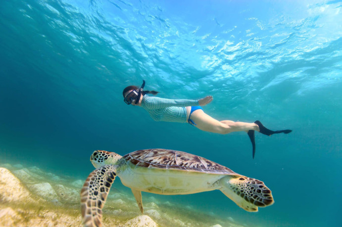 sea-adventure-and-snorkeling-with-turtle-in-mirissa-sri-lanka-big-0