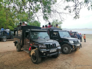 Habarana Adventure Jeep Safari - Wild Elephants, Peacocks etc