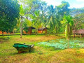 pondview-river-said-resort-small-1