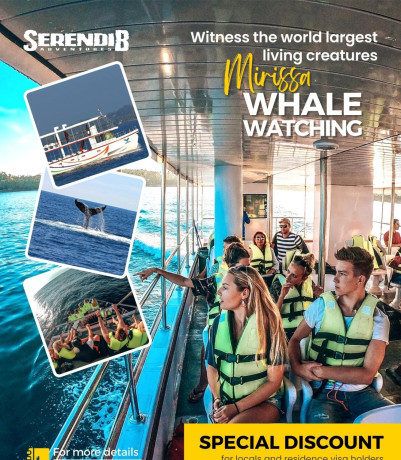 whale-watching-in-mirissa-matara-for-foreigners-and-sri-lankans-big-0