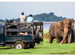 Adventure Travle - Yala Safari with Com Lanka Tours YALA NATIONAL PARK SAFARI