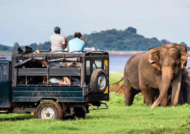 adventure-travle-yala-safari-with-com-lanka-tours-yala-national-park-safari-big-0