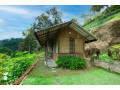 villa-perpetua-bandarawela-small-0