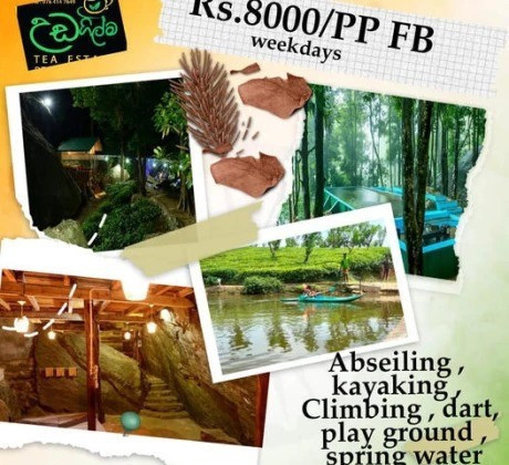 udagilma-tea-estate-resort-big-0