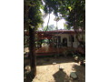 lions-villa-resort-small-2