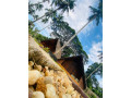 deduru-cabana-nature-resort-small-0